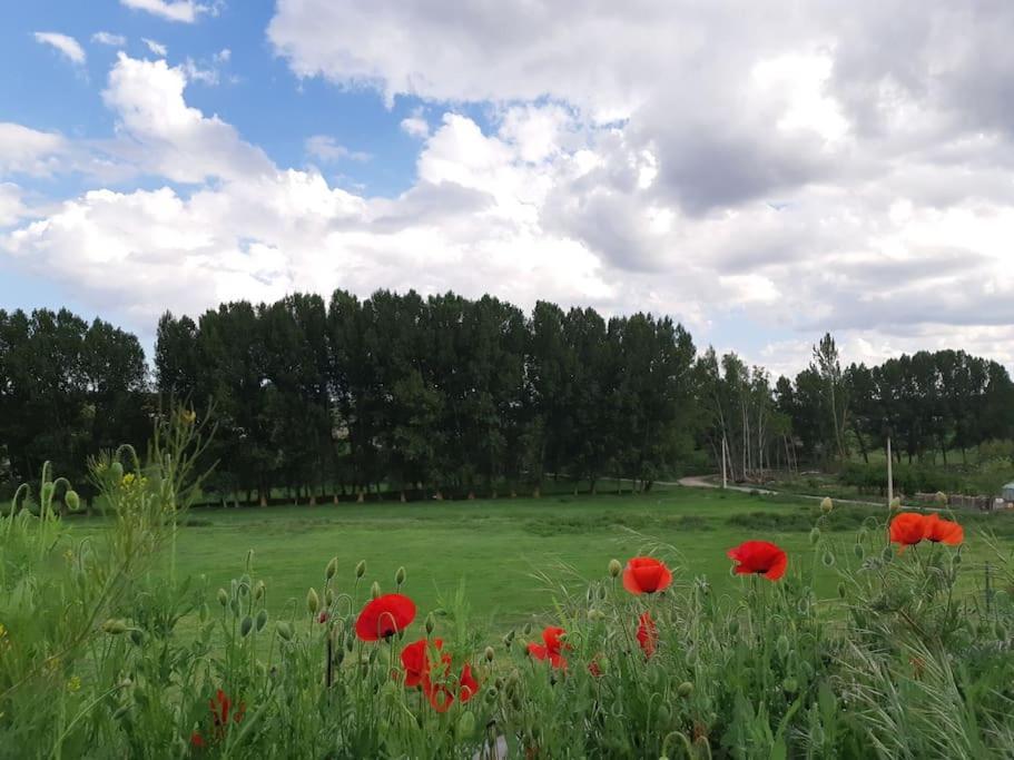 Casa Rural La Endrina Terriente Екстер'єр фото